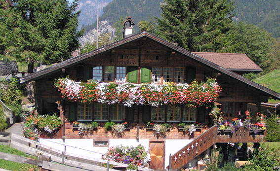 Blumenschmuck im Lauterbrunnental