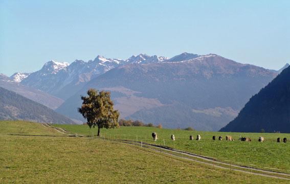 Mnstertal GR