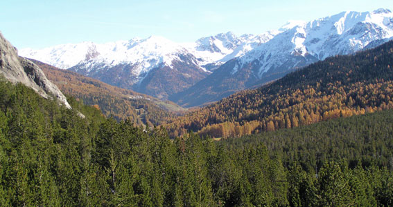 Blick vom Ofenpass