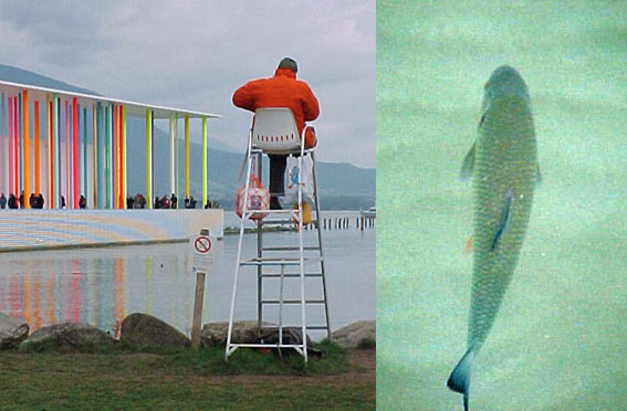 Schwimmen ist gefährlich